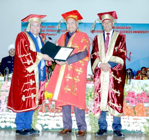 Dr. DVR Prakash Rao getting honorary degree